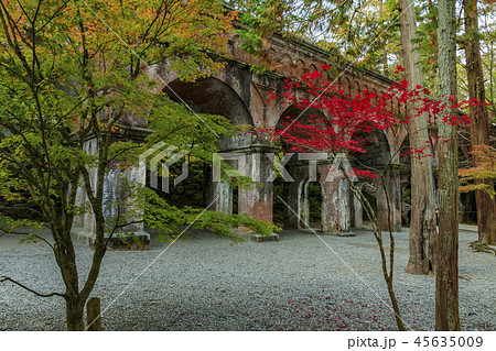 南禅寺　紅葉 45635009