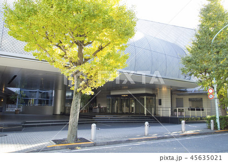 渋谷　東急文化村 45635021