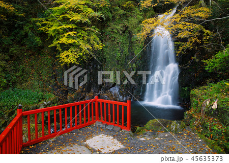 大分県　秋の九酔渓　紅葉と天狗の滝　 45635373
