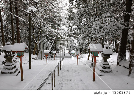 福岡県　大分県　県境の山　冬　英彦山の参道 45635375