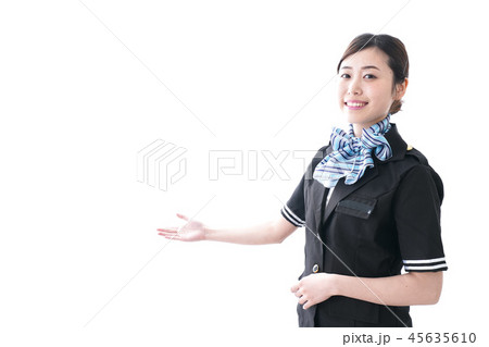 キャビンアテンダント 45635610
