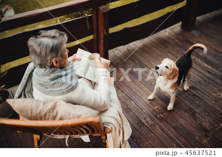 Elderly woman with a dog sitting outdoors on a terrace on a sunny day in autumn. Elderly woman with a dog sitting outdoors on a terrace on a sunny day in autumn. 45637521