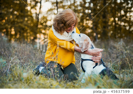 A senior woman with a dog in an autumn nature at sunset. A senior woman with a dog in an autumn nature at sunset. 45637599