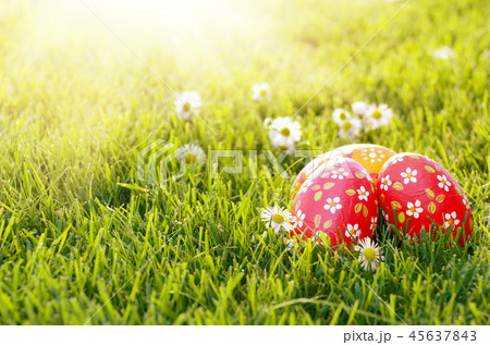 Easter eggs lying on green spring grass Easter eggs lying on green spring grass 45637843