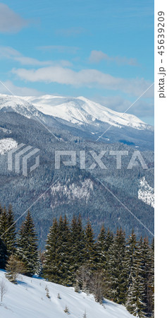 Winter snowy Carpathian mountains, Ukraine 45639209