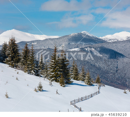 Winter snowy Carpathian mountains, Ukraine 45639210
