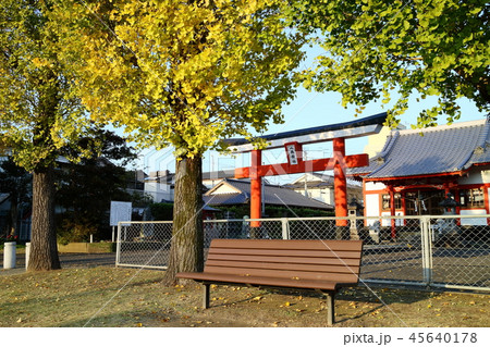 秋の八坂神社 45640178