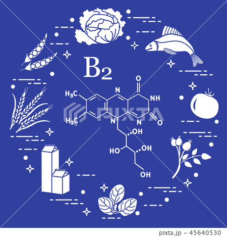 Foods rich in vitamin B2 Fish, peas and other. 45640530