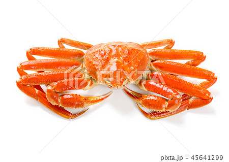 ズワイガニ ズワイガニ 45641299