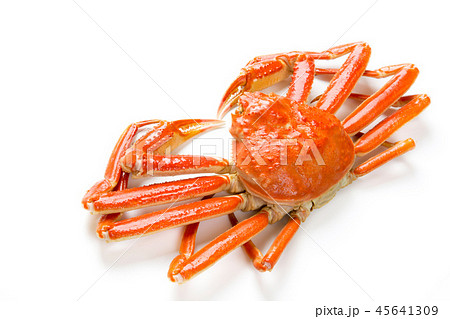 ズワイガニ 45641309