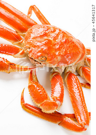 ズワイガニ ズワイガニ 45641317