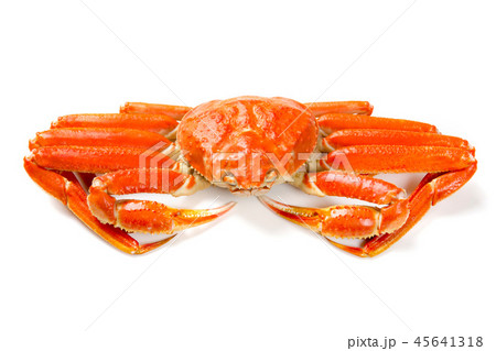 ズワイガニ ズワイガニ 45641318