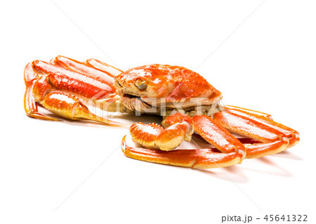 ズワイガニ ズワイガニ 45641322