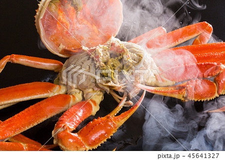 ボイルしたズワイガニ ボイルしたズワイガニ 45641327