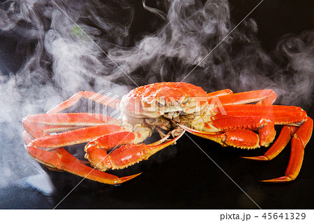 ボイルしたズワイガニ 45641329