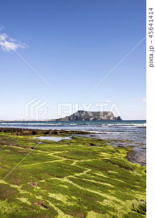 済州 島 サムダド 45641414