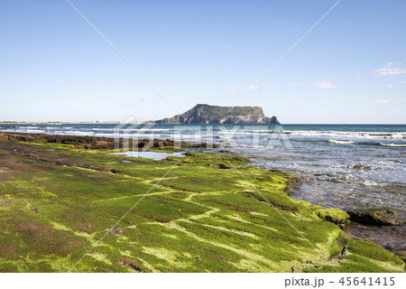 済州 島 サムダド 45641415