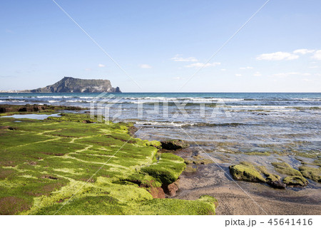 済州 島 サムダド 45641416