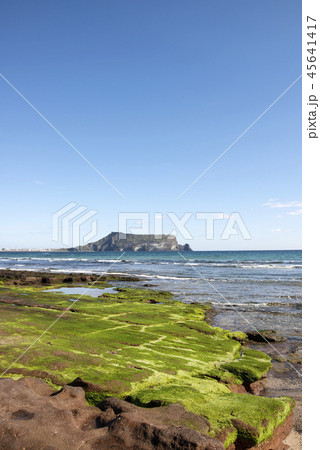 済州 島 サムダド 45641417