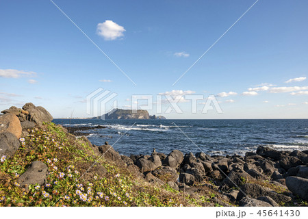 済州 島 サムダド 45641430