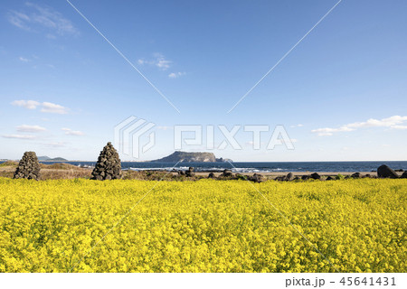 済州 島 サムダド 45641431