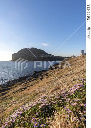 済州 島 海 45641438