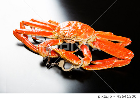 手錠したズワイガニ 手錠したズワイガニ 45641500