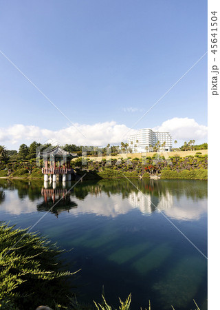 済州 造園 池 45641504