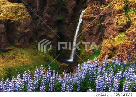 Great waterfall Skogafoss in south of Iceland near the town Skogar Great waterfall Skogafoss in south of Iceland near the town Skogar 45642879