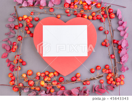 Blossoming apple tree branches with decorative red heart on gray background. Copy space. Valentine's Blossoming apple tree branches with decorative red heart on gray background. Copy space. Valentine's 45643343