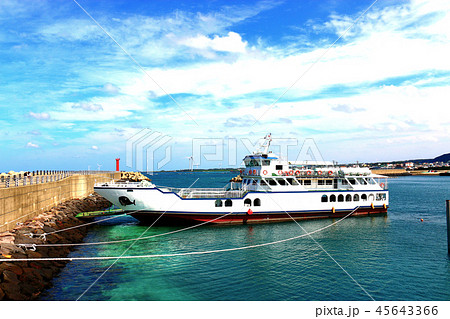 緑 緑色 木 45643366