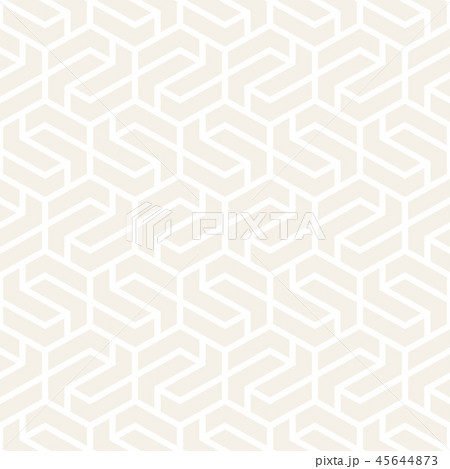 Vector seamless stripes pattern. Modern stylish texture with monochrome trellis. Repeating geometric Vector seamless stripes pattern. Modern stylish texture with monochrome trellis. Repeating geometric 45644873