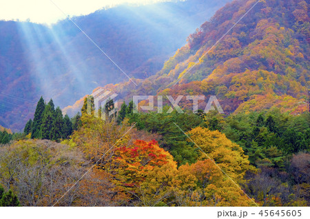 天使のはしご 天使のはしご 45645605