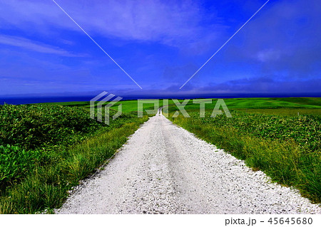 宗谷丘陵　貝殻の白い道 45645680