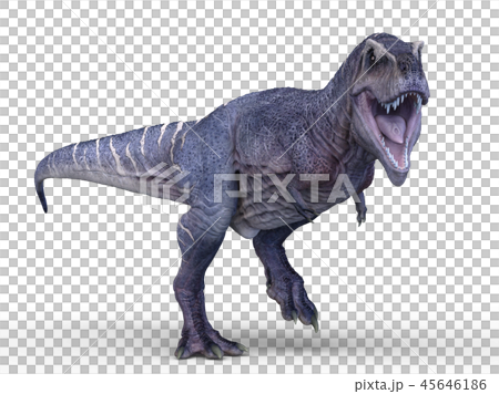 dinosaur dinosaur 45646186