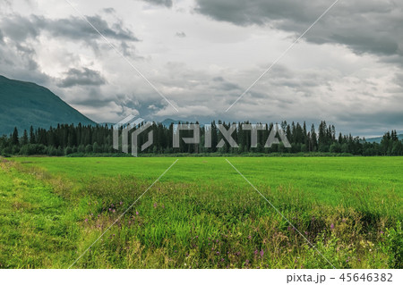 Scenic summer landscape in Northern Norway 45646382
