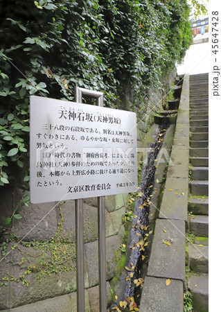 湯島天神 天神石坂(男坂) 東京都文京区 湯島天神 天神石坂(男坂) 東京都文京区 45647428