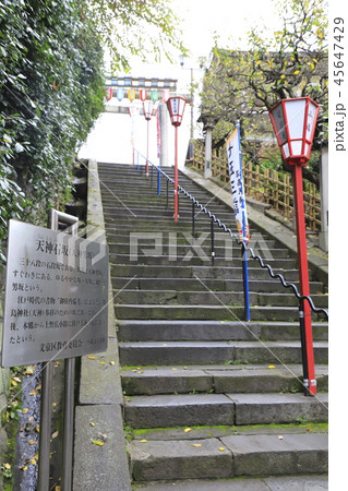 湯島天神　天神石坂（男坂）　東京都文京区 45647429
