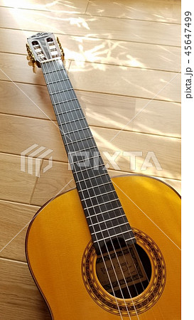 ギター ギター 45647499
