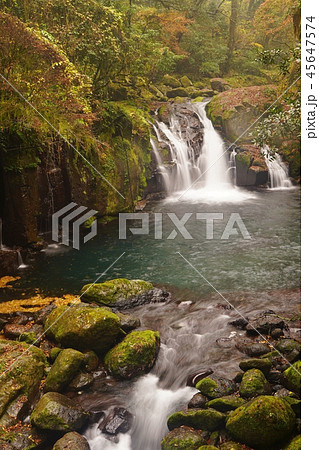 朝霧に浮かぶ秋の菊池渓谷 45647574