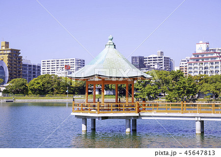 水と緑のオアシス  大濠公園 45647813