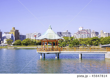 水と緑のオアシス  大濠公園 45647814