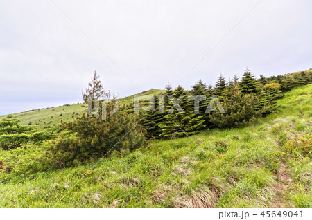 丹陽郡 小白山 毘盧峰 45649041