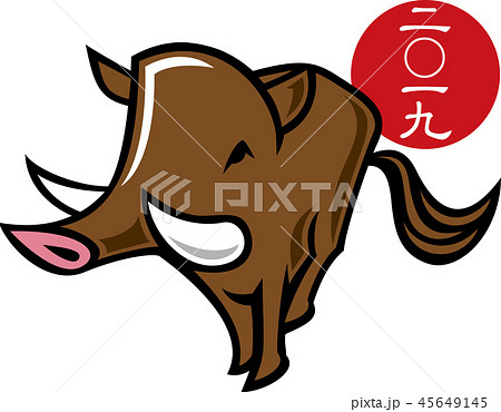 イノシシ 45649145