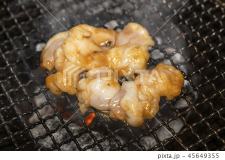 ホルモン焼き肉 45649355