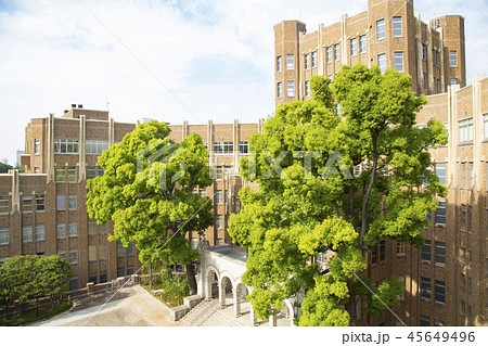 郷土歴史館等複合施設「ゆかしの杜」 45649496