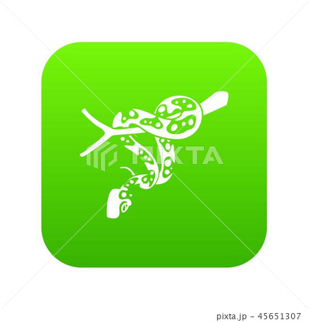 Ball python icon green vectorのイラスト素材 [45651307] - PIXTA