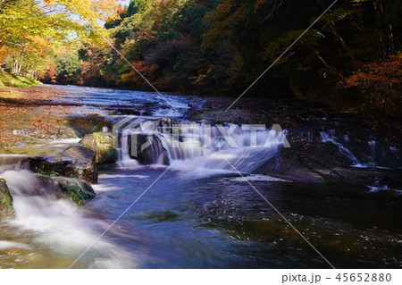 阿蘇ゆうすい自然の森の秋 45652880