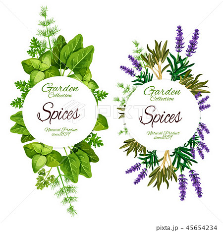 Organic Herbs And Spices Green Seasoningsのイラスト素材