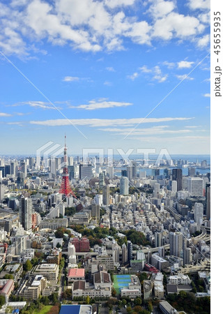 東京タワーと東京の街並み 45655935